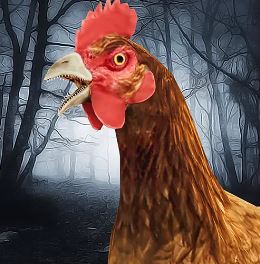 Play SCARY CHICKEN FEET ESCAPE GAME